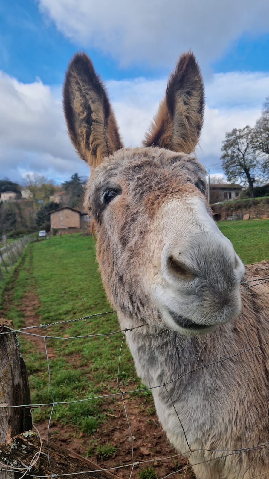 Avatar de Jmarc Teguor